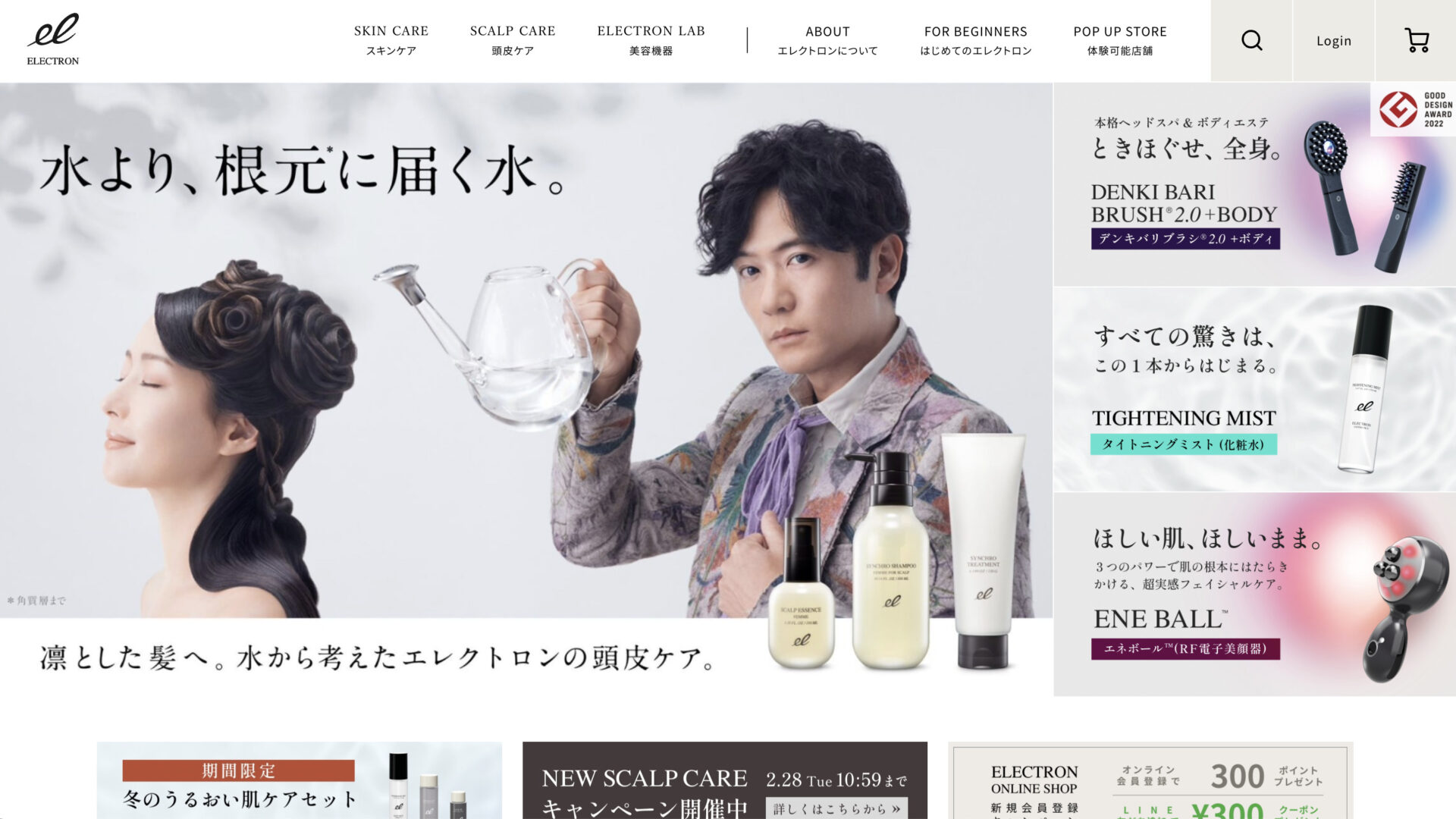 ELECTRON ONLINE SHOP